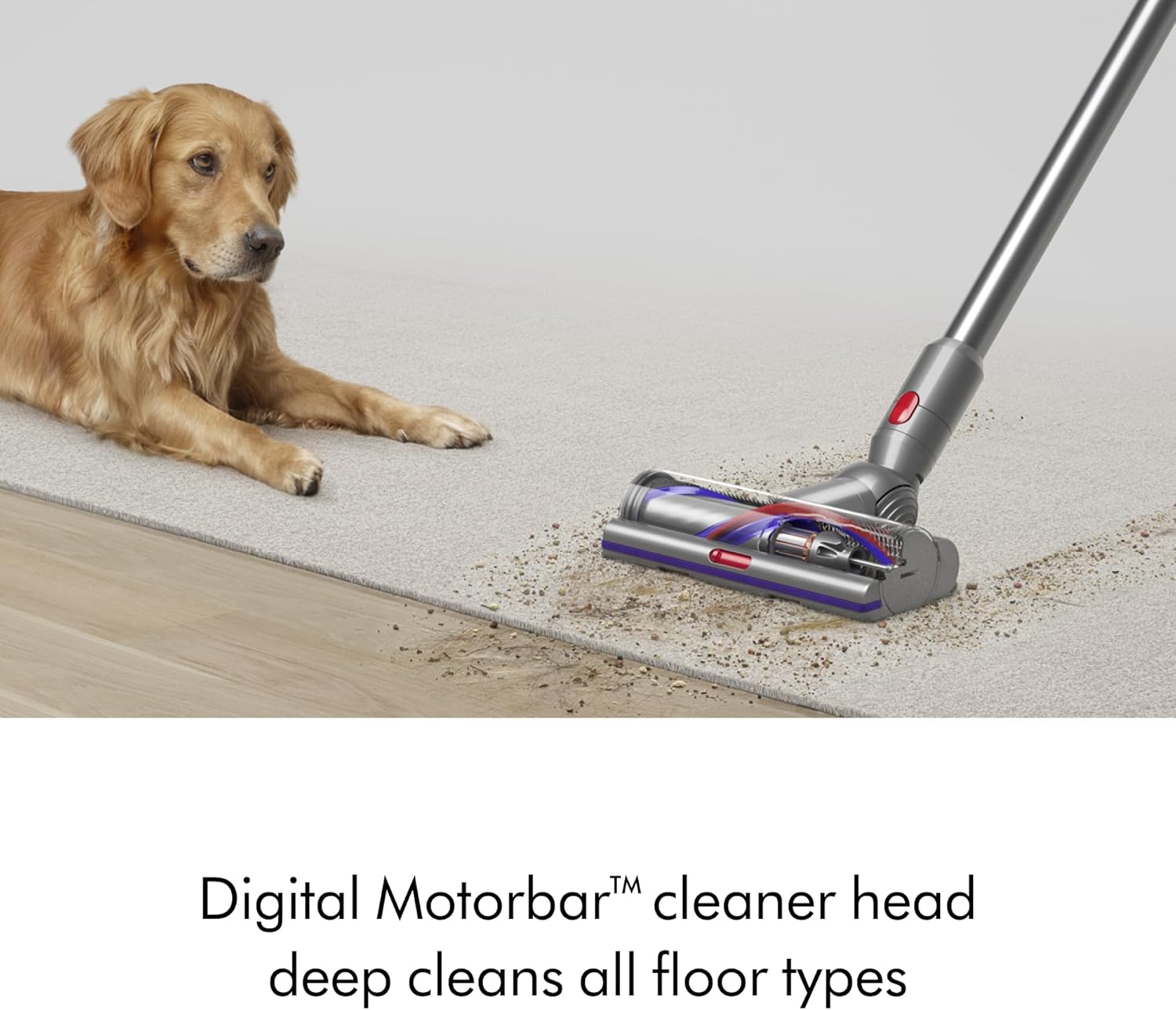 Dyson V15 Detect™ Extra cordless vacuum
